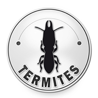 Diagnostics termites